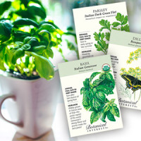 basil in pot and seed packets