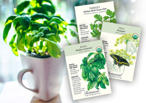 basil in pot and seed packets