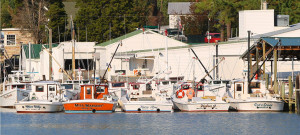 kellum seafood plant