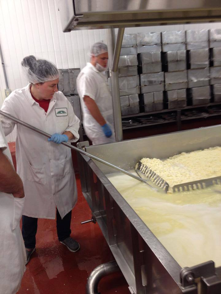 Peg makes cheese