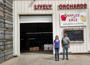 lively orchards building