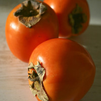persimmons