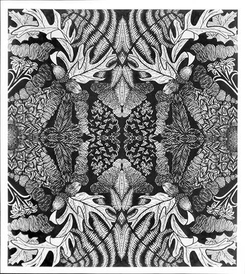 drawing of nature pattern