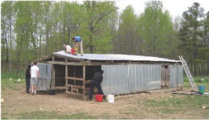 the old shed being deconstructed