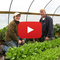 Two Chicks women with video icon