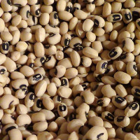 black-eyed peas