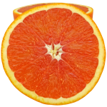 navel orange