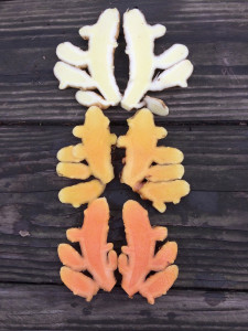 turmeric root cut open
