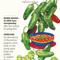pepper seed packet