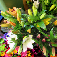 lily bouquets