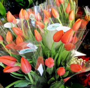 tulip bouquets