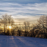 scenery with winter sun