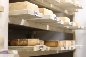 cheese on wooden shelves