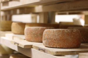 cheese on wooden shelves
