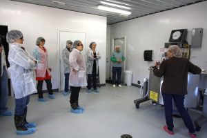 our staff in the cheese room
