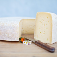 Nicasio Reserve cheese wheel