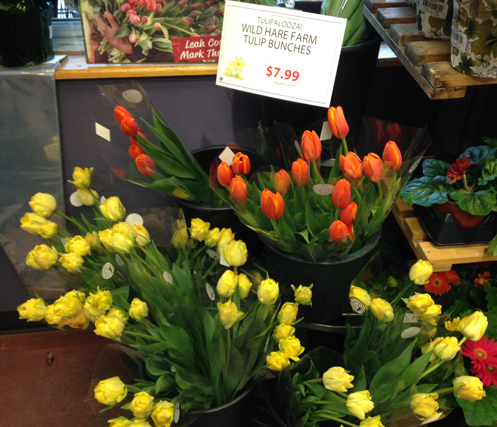tulips on sale in the store
