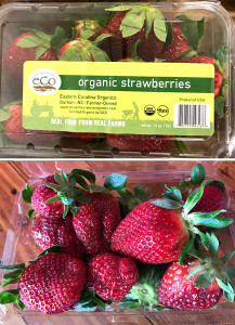 strawberries in a carton from ECO