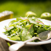 a green salad