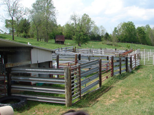 chutes and fences