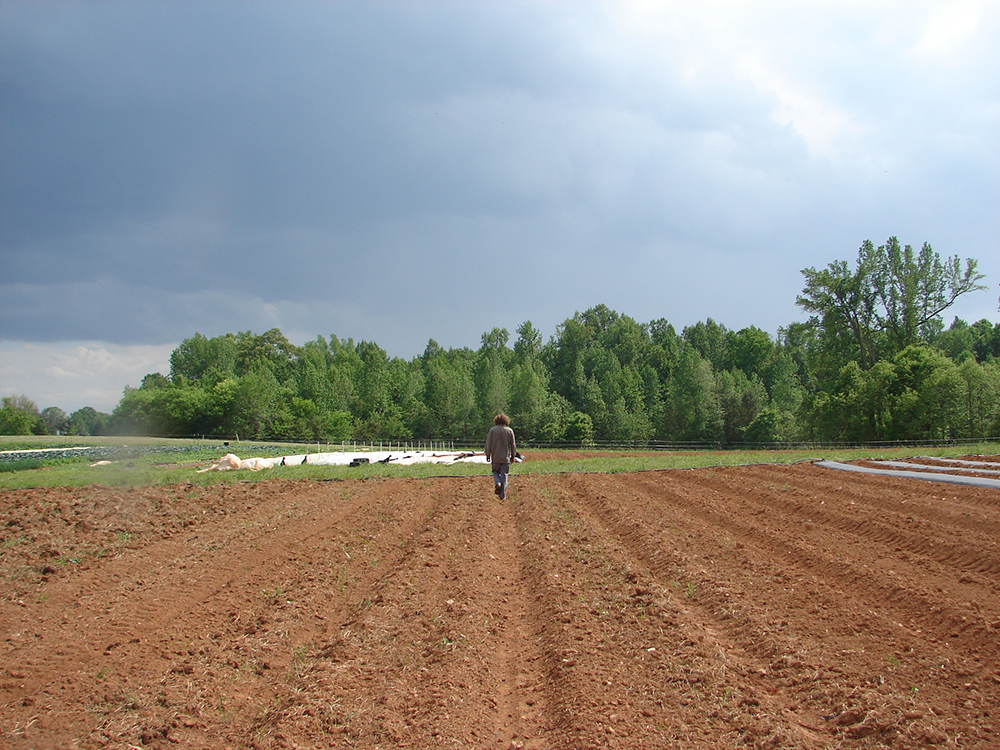 person walking down plowed rows