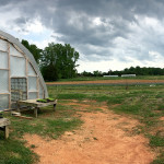 panoramic view with greenhouse