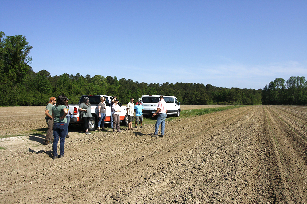group at field at Cottle Organics