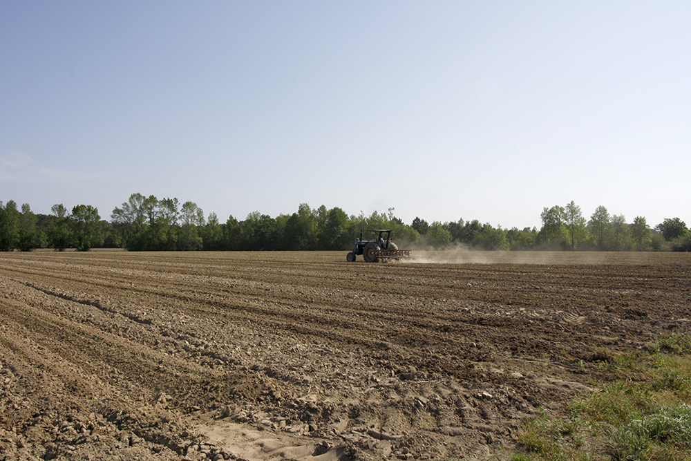 tractor in field at Cottle Organics