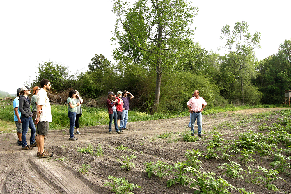 our group at a potato field at Cottle Organics