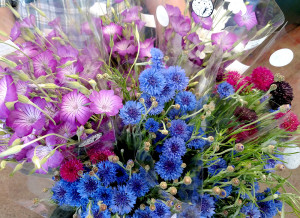 bouquets of bachelor buttons