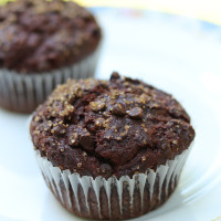 chocolate muffins