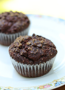 chocolate muffins