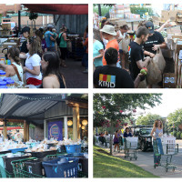 four photos showing scenes of the last food sort event