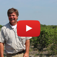 Owen Rouse in his fields, with video icon