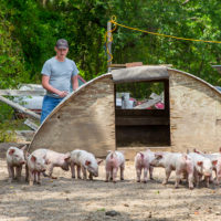 Darren with piglets and pig house