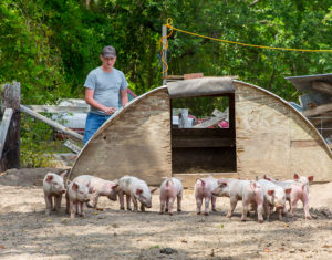 Darren with piglets and pig house