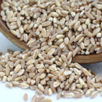 farro grains