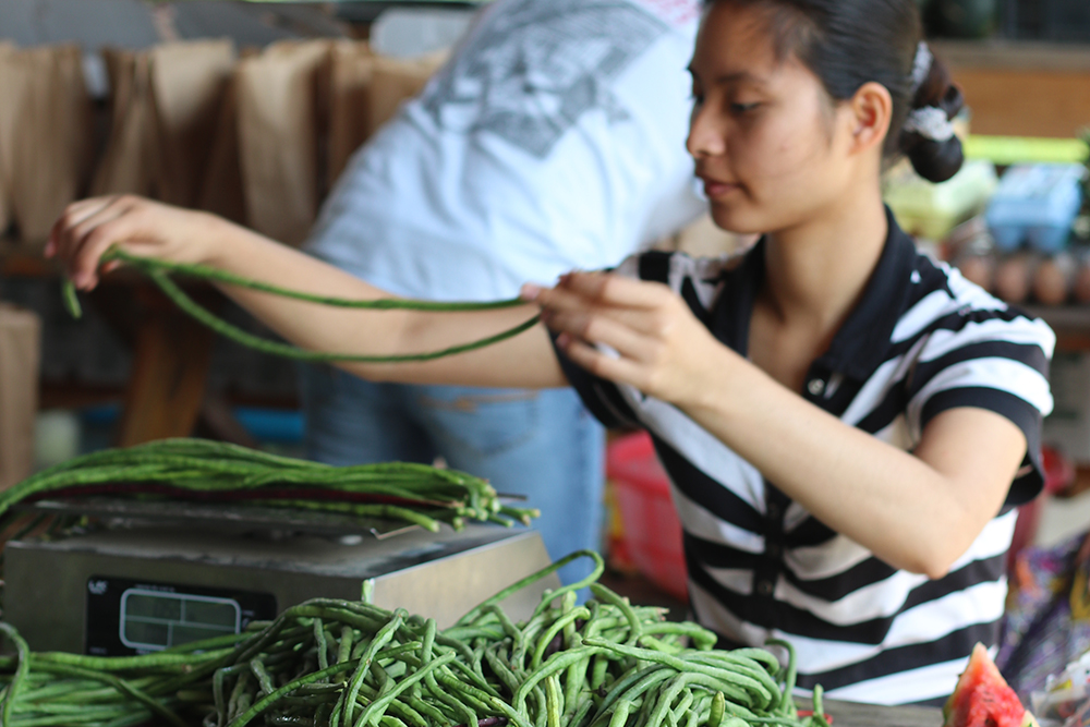 Sorting long green beans