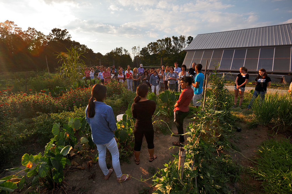 Farm staff lead a tour group in the gardens