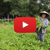 farmer in field with video icon