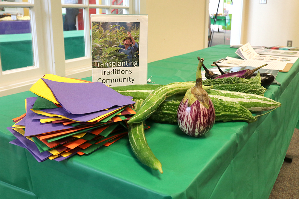 gourds and eggplant on display