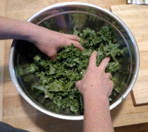 hands massaging kale in bowl