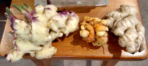 fresh ginger, fresh turmeric, and dried ginger
