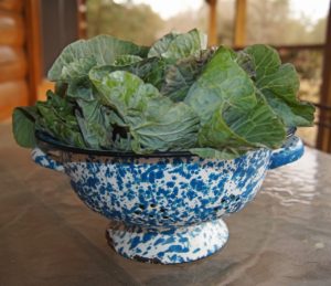 a blue colander filled with collard leaves