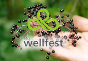 elderberries with Wellfest logo