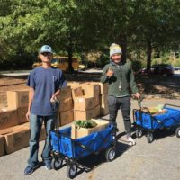 men with wagons picking up food boxes