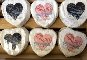 heart shaped cheeses