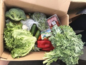 lettuce, kale, red pepper, and more produce in box