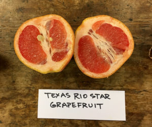sliced grapefruit labeled Rio Star