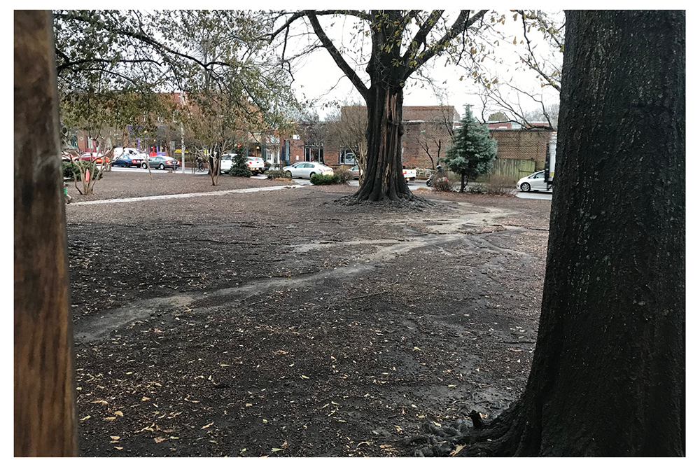 poster showing the lawn as it is now, with a rain channel through the mulch